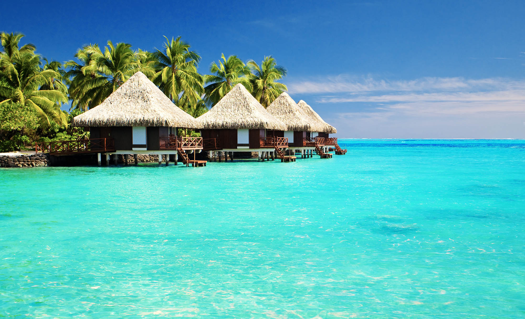 A group of overwater cabins on the coastline with palm trees behind them.